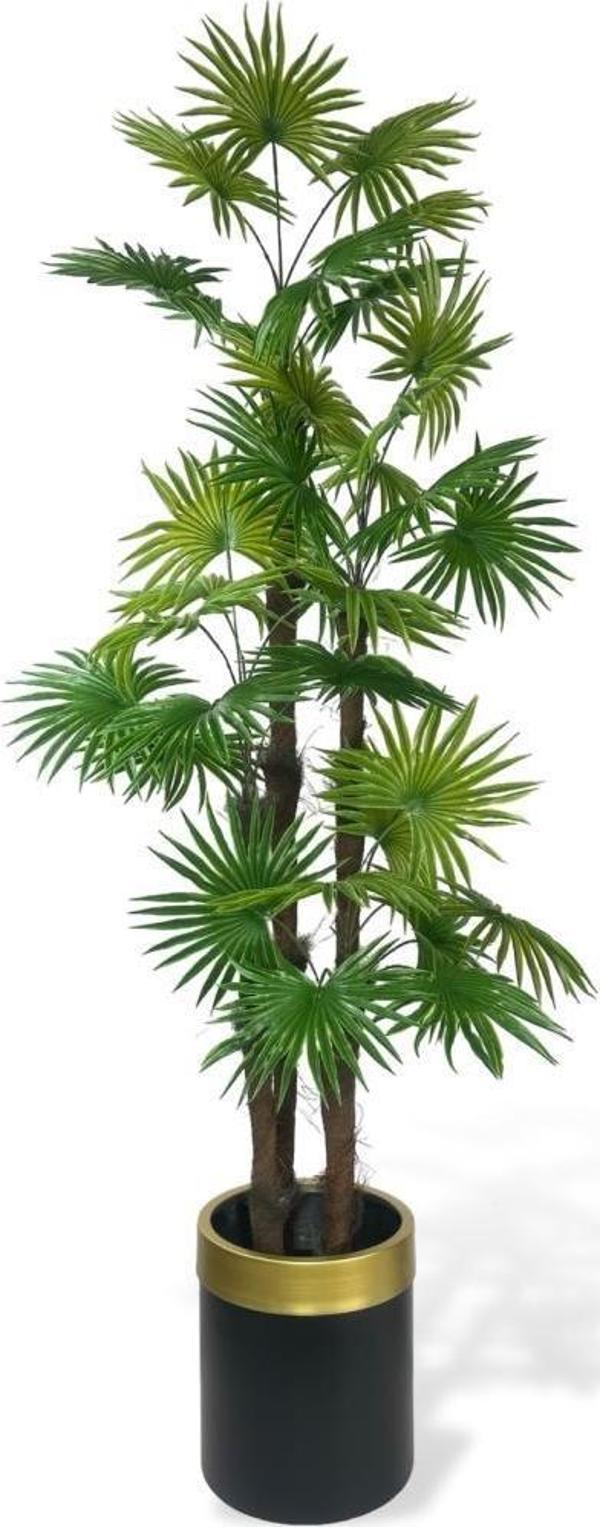 Netten Evime Yapay Ağaç Yelpaze Palmiye 4Katlı Fanpalm 32 Yaprak Altın Kemerli Siyah Saksıda 170*65 cm - Image 1