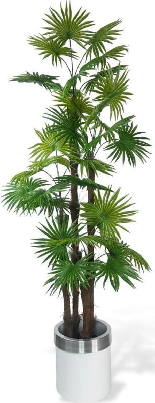 Netten Evime Yapay Ağaç Yelpaze Palmiye 4Katlı Fanpalm 32 Yaprak Gümüş Kemerli Beyaz Saksıda 170*65 cm - Image 1