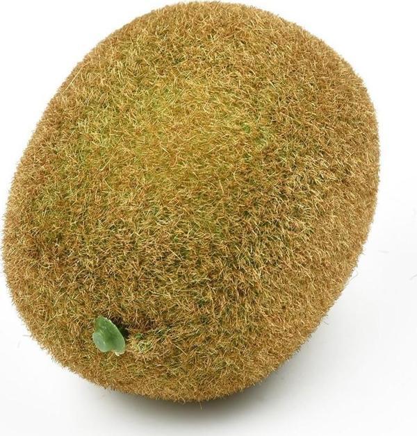 Netten Evime Yapay Meyve Kivi Fake Fruit - Image 1