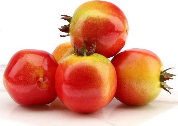 Netten Evime Yapay NAR 6 lı Paket Yapay Meyve - Image 1
