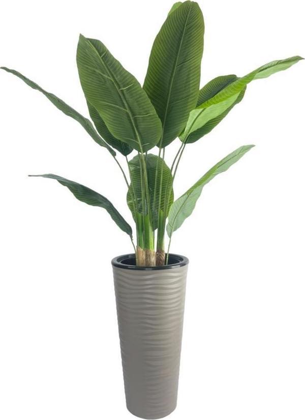 Netten Evime Yapay Starliçe Muz Ağacı Dore Kumsal Vazoda Muz Ağacı Yapay Starliçe 150 cm 12 Yaprak - Image 1