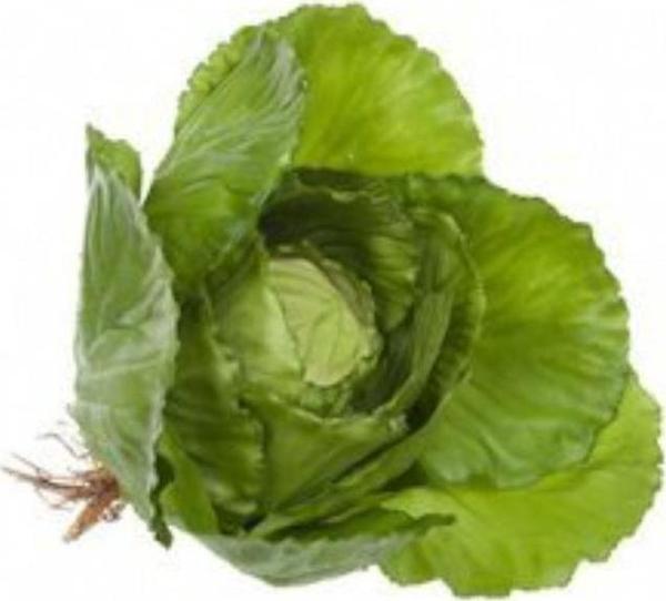 Netten Evime Yapay Yeşil Lahana Dekoratif Yapay Sebze Marul - Image 1
