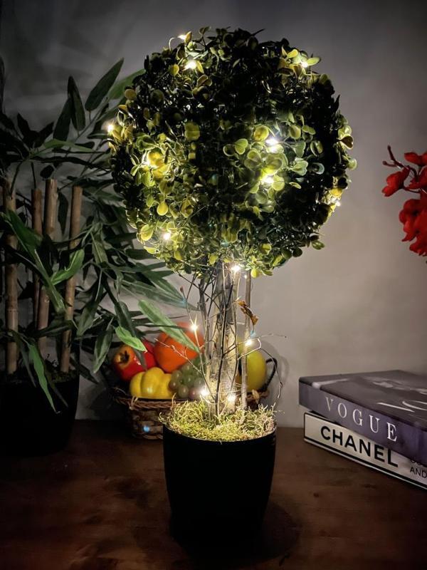 Netten Evime Led Işıklı Şimşir Top Yılbaşı Ağacı Tek Toplu 23cmx45cm Siyah Saksılı - Image 1