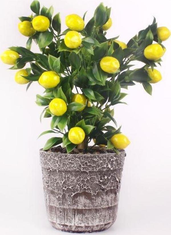 Netten Evime Limon Ağacı Seramik Saksıda Yapay Çiçek   - Image 1