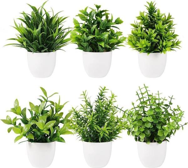 Netten Evime 6lı Set Yapay Çiçek Beyaz Saksıda 6 Çeşit Yeşil Bitki - Image 1