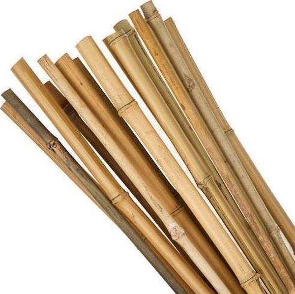 Netten Evime Bambu Sopası 240 cm 18-20mm Bambu Çubuğu 5 ADET  - Image 1