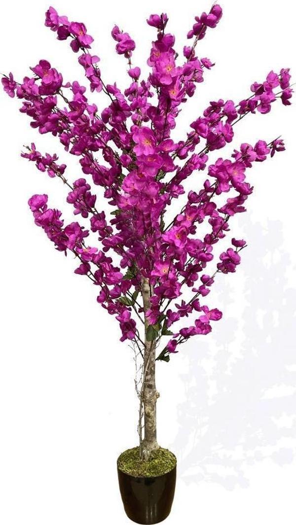 Netten Evime Yapay Ağaç Bahardalı Ağacı Mor Japon Kiraz Çiçeği Sakura Çiçeği 127x70cm Siyah Plastik Saksılı - Image 1