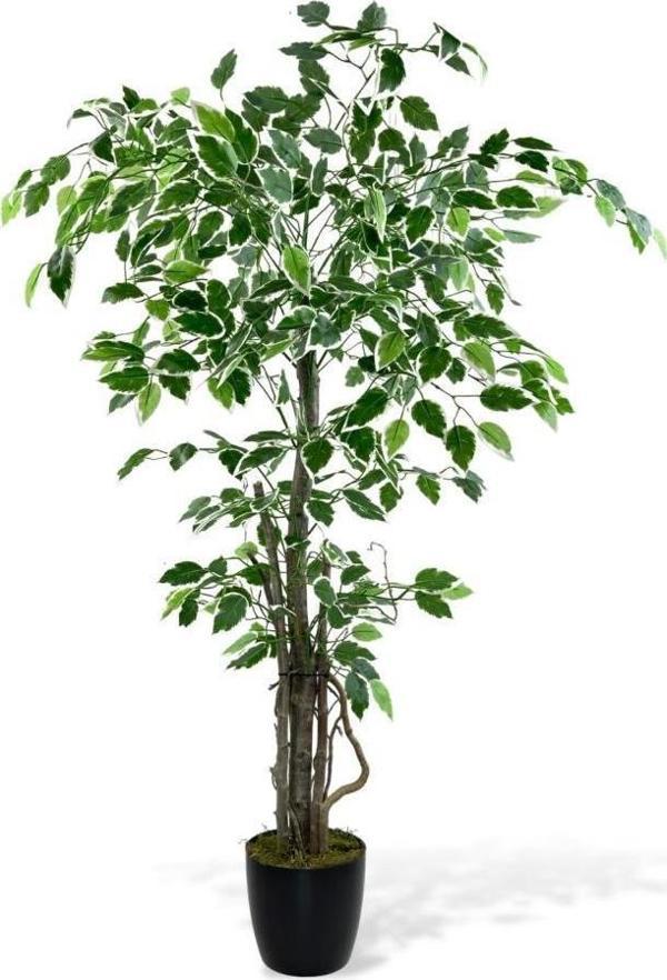Netten Evime Yapay Ağaç Benjamin 120cm Yeşilbeyaz Çalılı Siyah Plastik Saksılı - Image 1