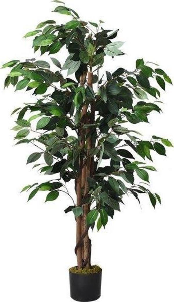 Netten Evime Yapay Ağaç Benjamin 2 Gövdeli Çalılı 120x70cm Siyah Plastik Saksılı - Image 1