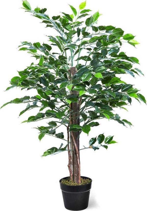 Netten Evime Yapay Ağaç Benjamin 2 Gövdeli Çalılı 120x70cm Siyah Plastik Saksılı - Image 1