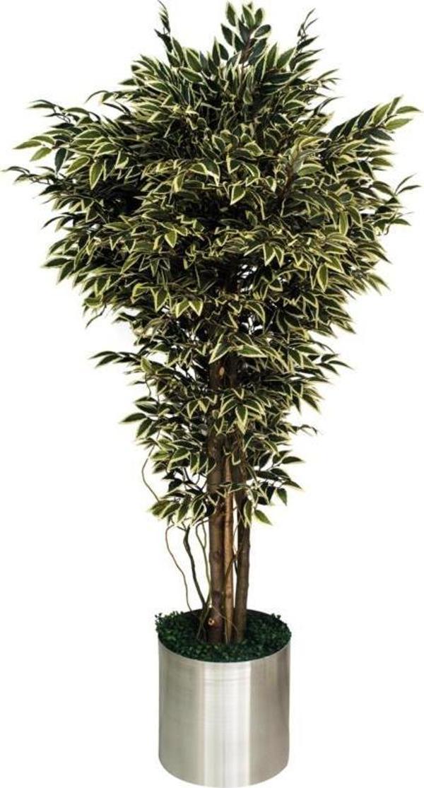 Netten Evime Yapay Ağaç Benjamin Galvaniz Saksılı Yeşil Beyaz Doğal Görünüm 1. Kalite - Image 1