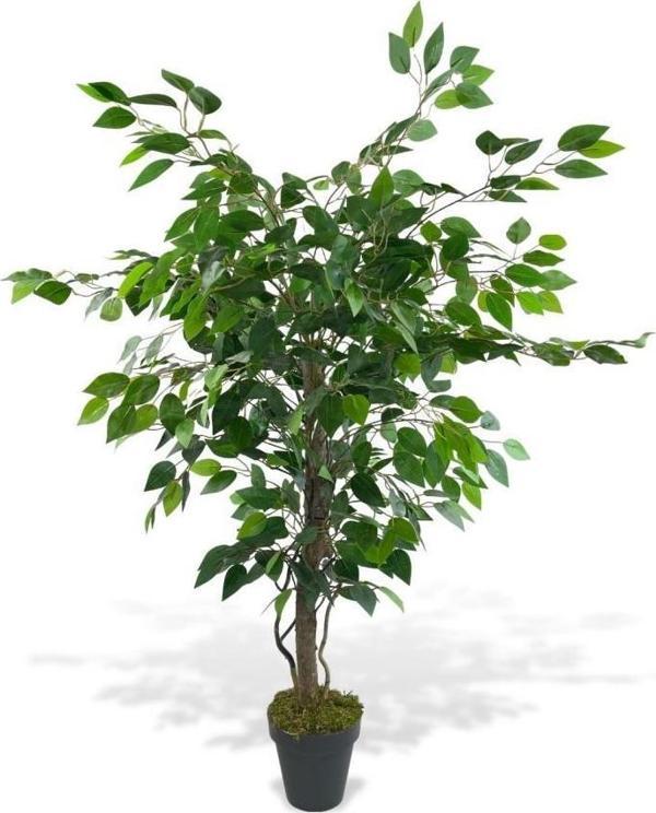 Nettenevime Yapay Ağaç Benjamin Yeşil Salex Dallı 110x70cm Siyah Plastik Saksılı - Image 1