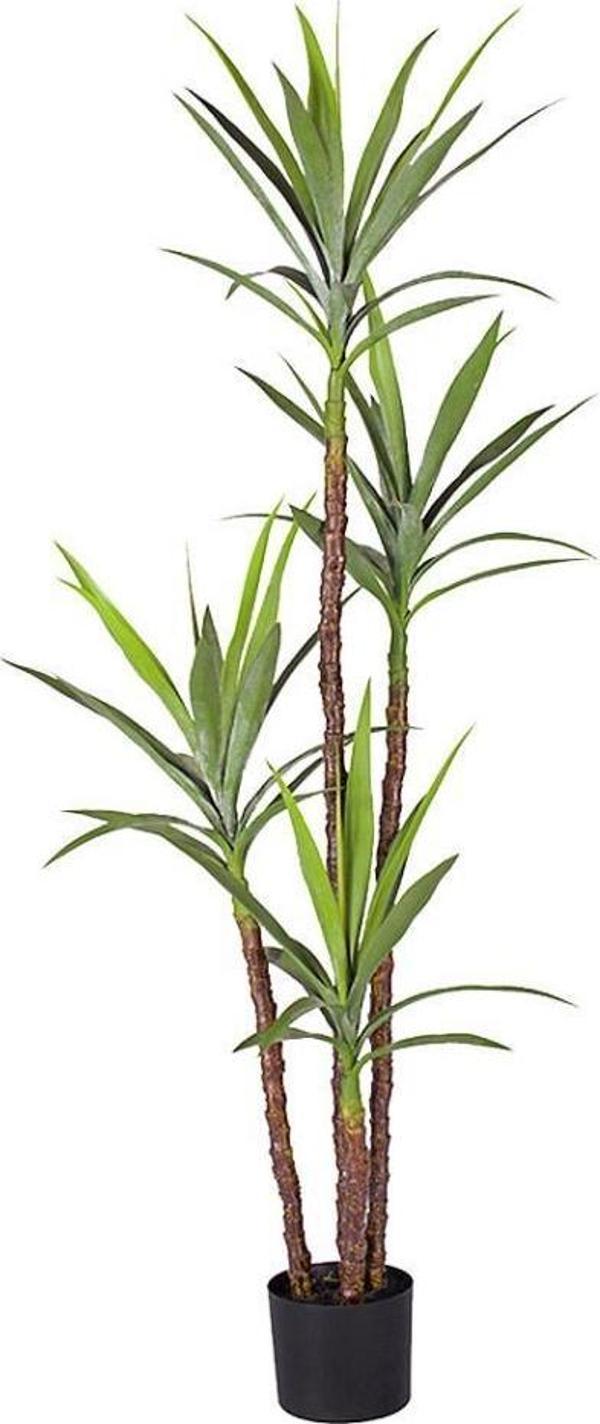 Netten Evime Yapay Ağaç Dracaena Ağacı 4Gövdeli 180 cm Premium Kalite - Image 1