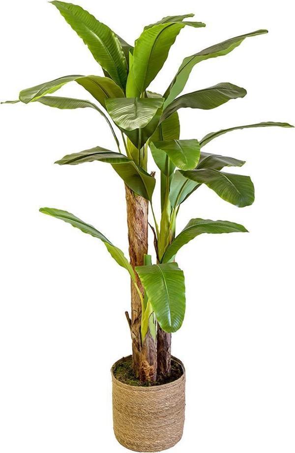 Netten Evime Yapay Ağaç Muz Ağacı Hasır Kaplamalı Saksıda Yapay Starliçe 220cm 3 Gövdeli - Image 1