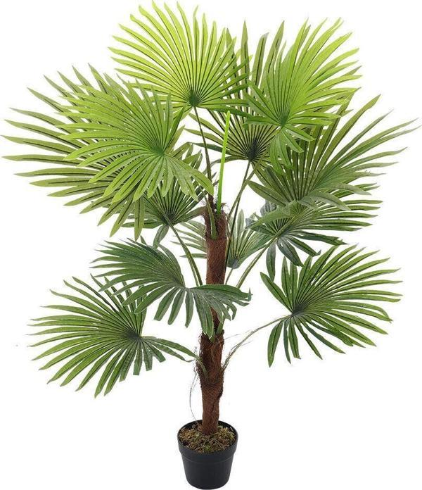 Netten Evime Yapay Ağaç Palmiye Ağacı 155cm Fanpalm Ağacı 12 Yaprak - Image 1