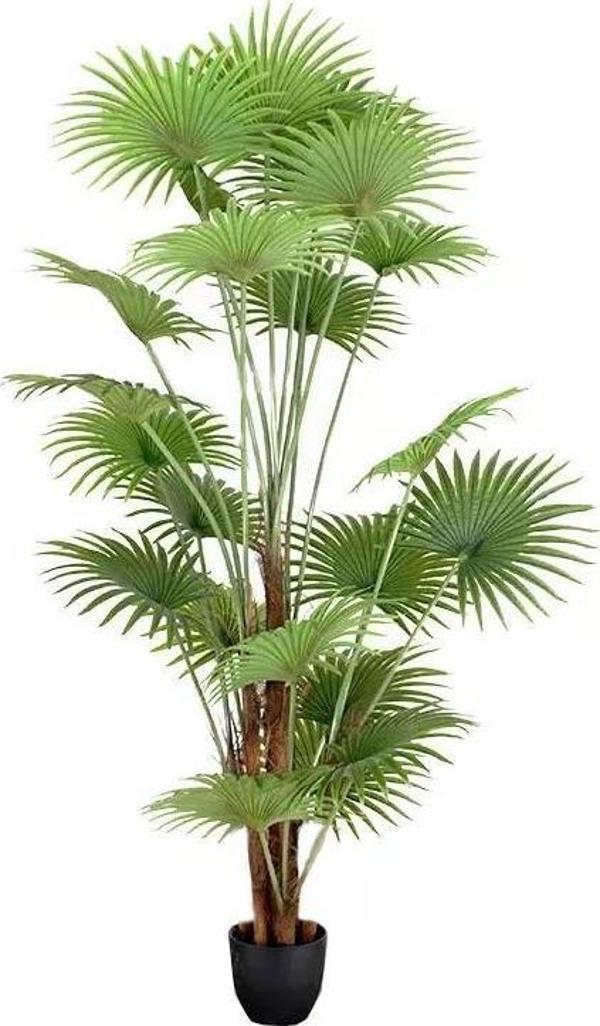 Netten Evime Yapay Ağaç Palmiye Ağacı 200cm Dev Fanpalm Ağacı 17 Yaprak - Image 1