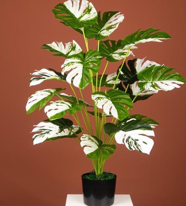 Netten Evime Yapay Ağaç Salon Bitkisi Beyaz Monstera 70 cm 18 Yaprak Antrasit Saksıda Deve Tabanı  - Image 1