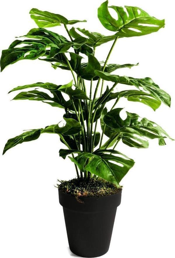 Netten Evime Yapay Ağaç Salon Bitkisi Monstera 60 cm 18 Yaprak Antrasit Saksıda - Image 1