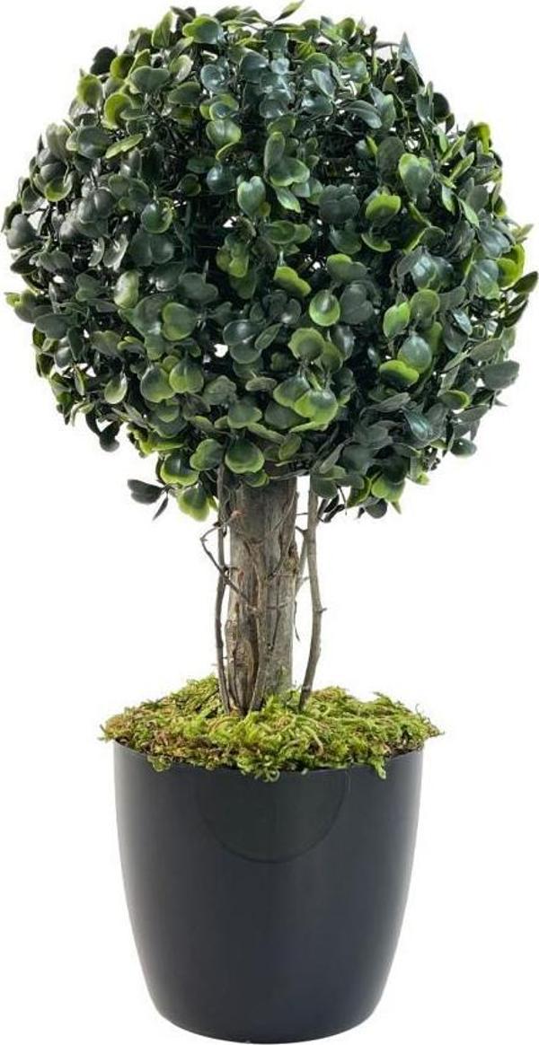 Netten Evime Yapay Ağaç Şimşir Top Tek Toplu 18x35cm Siyah Saksılı  - Image 1