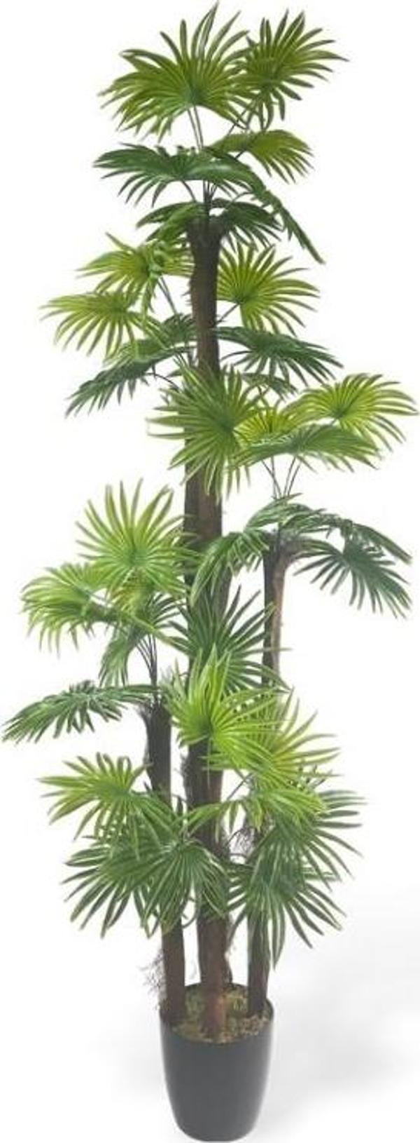Netten Evime Yapay Ağaç Yelpaze Palmiye 5Katlı Fanpalm 40 Yaprak 180*65cm - Image 1