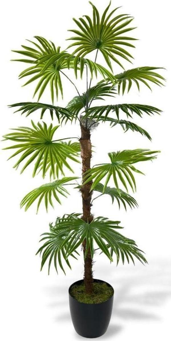 Yapay Ağaç Yelpaze Palmiye Fanpalm 16 Yaprak 115x55cm - Image 1