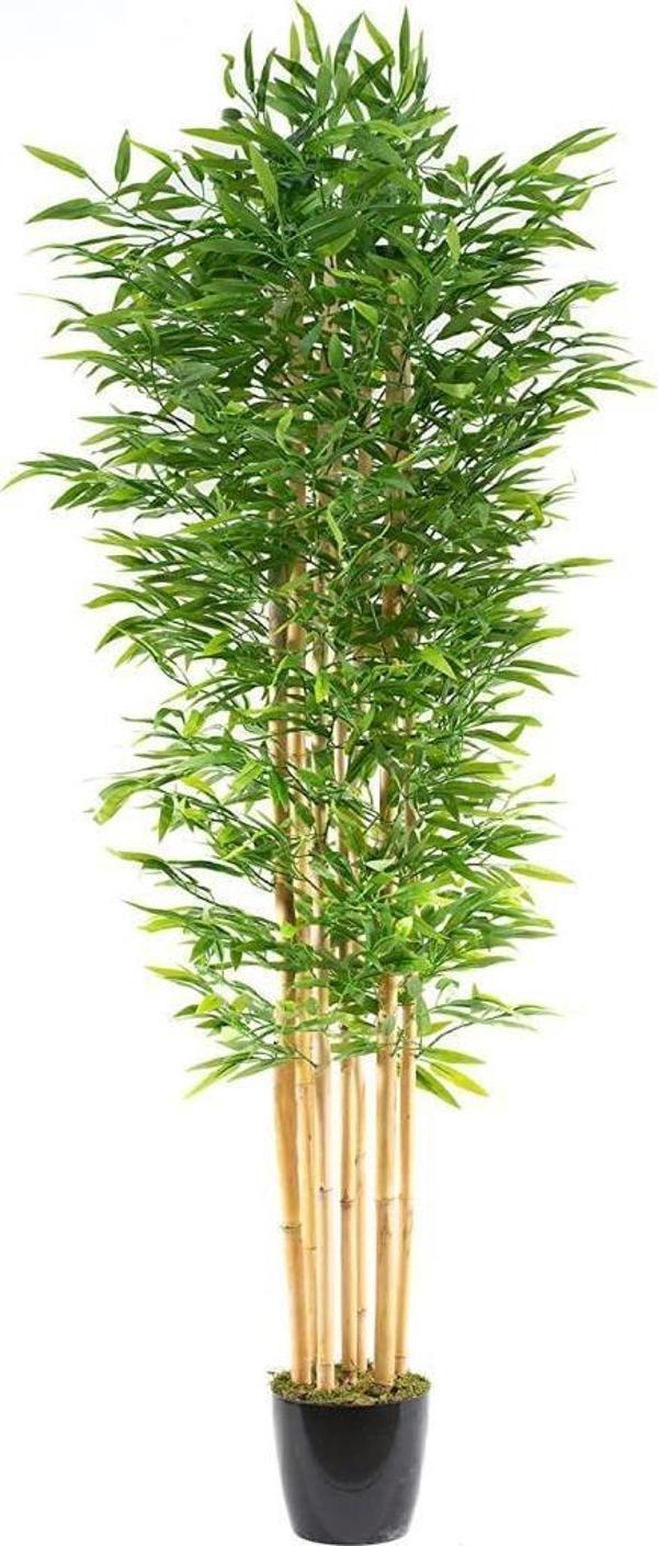 Netten Evime Yapay Bambu Ağacı 210cm Siyah Saksılı 7 dallı - Image 1