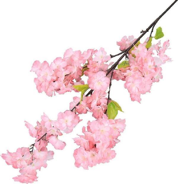 Netten Evime Yapay Çiçek Bahar Dalı Japon Kiraz Çiçeği 90 cm KOYU PEMBE - Image 1