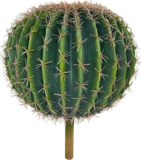 Netten Evime Yapay Çiçek Echinocactus Grusonii Altın Fıçı Kaktüs  35*35cm Cactüs  sk4011 - Image 1