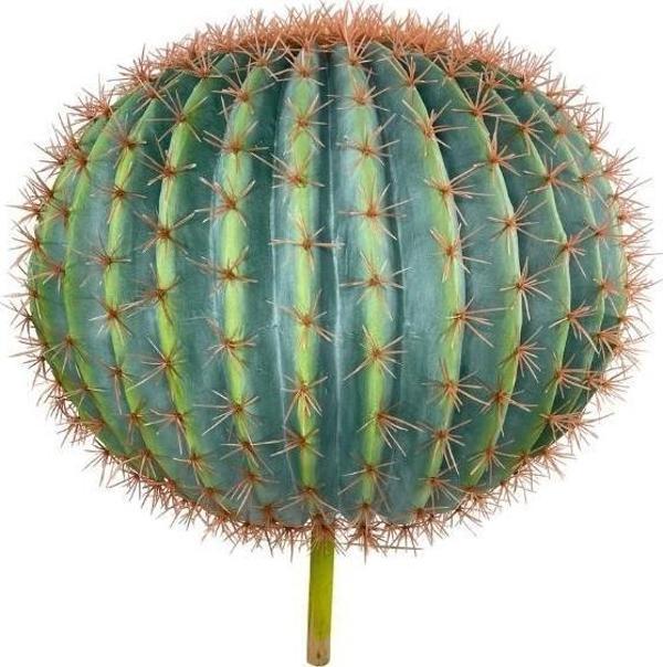 Netten Evime Yapay Çiçek Echinocactus Grusonii Altın Fıçı Kaktüs  60*60cm Cactüs  sk4012 - Image 1