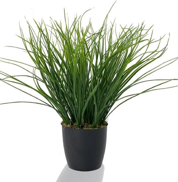 Netten Evime Yapay Çiçek Grass Saz Yapay Bitki Siyah Plastik Saksılı Dekoratif Süs Çiçeği - Image 1