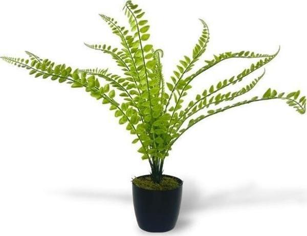 Netten Evime Yapay Çiçek Islak Sıkas Yukka 15yaprak 50cm Salon Çiçeği Plastik Siyah Saksılı Yapay Bitki - Image 1