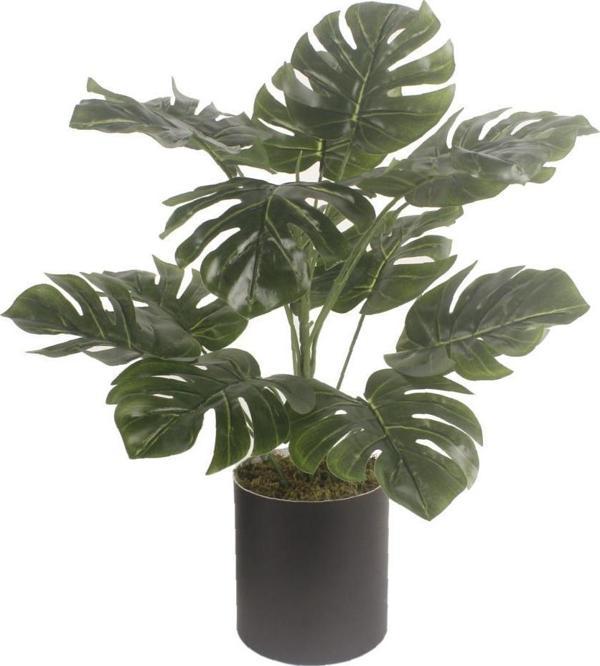 Netten Evime Yapay Çiçek Monstera Deve Tabanı Siyah Saksılı Salon Çiçeği 15 Yaprak - Image 1