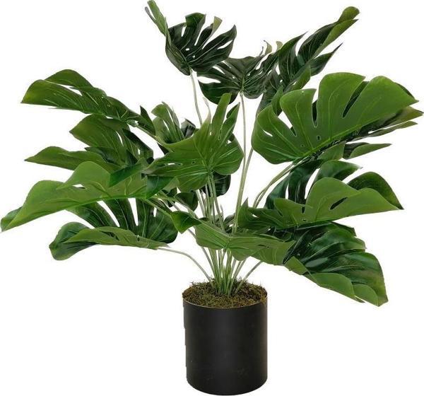 Netten Evime Yapay Çiçek Monstera Deve Tabanı Siyah Saksılı Salon Çiçeği 18 Yaprak 58cm - Image 1