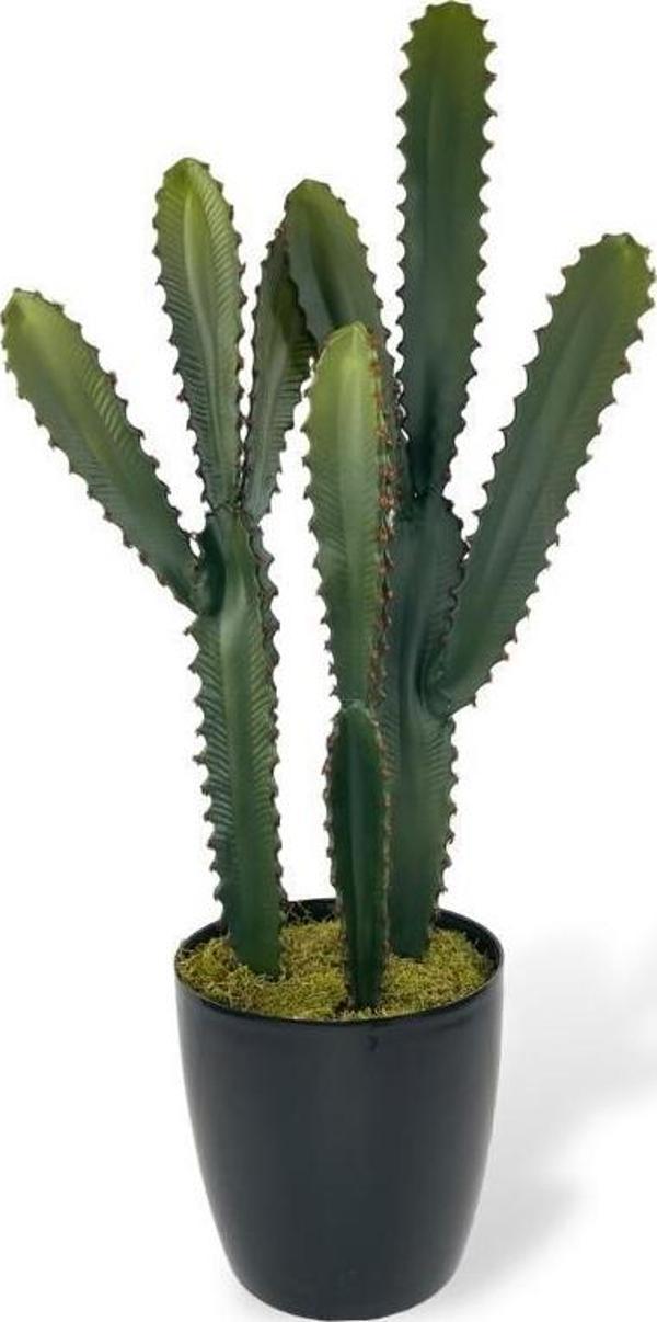 Netten Evime Yapay Çiçek Kaktüs Ağacı 3Köşeli 3Boy Siyah Saksıda 70*30cm sk4020 - Image 1
