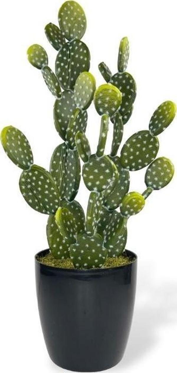 Netten Evime Yapay Çiçek Kaktüs Ağacı Tavşan Kulağı Siyah Saksıda 3lüset 73*30cm sk4021 - Image 1