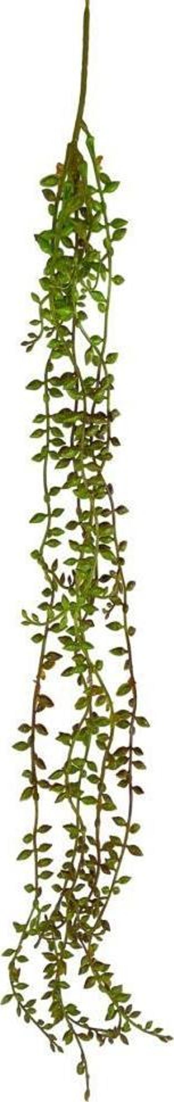 Netten Evime Yapay Çiçek Sarkan Kahverengi Detaylı String Okaliptus Skulent 70cm 5Dal - Image 1