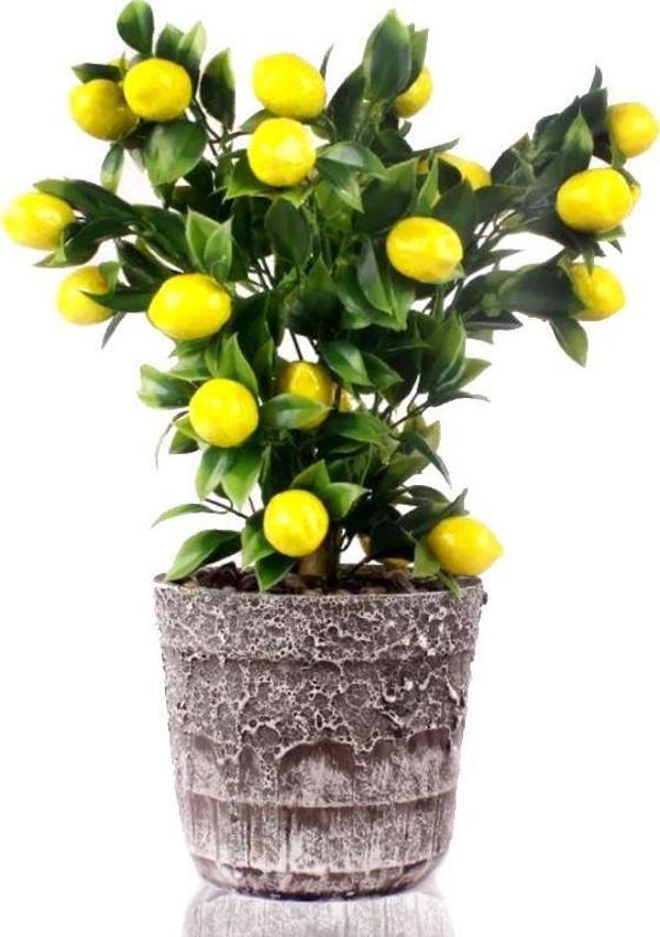Netten Evime Yapay Çiçek Seramik Saksıda Limon Ağacı  - Image 1