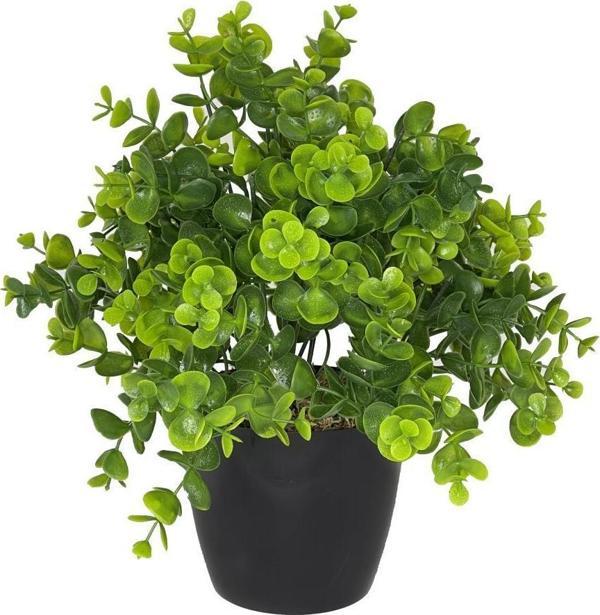 Netten Evime Yapay Çiçek Şimşir Eucalyptus Yapay Bitki Siyah Plastik Saksılı Dekoratif Süs Çiçeği - Image 1