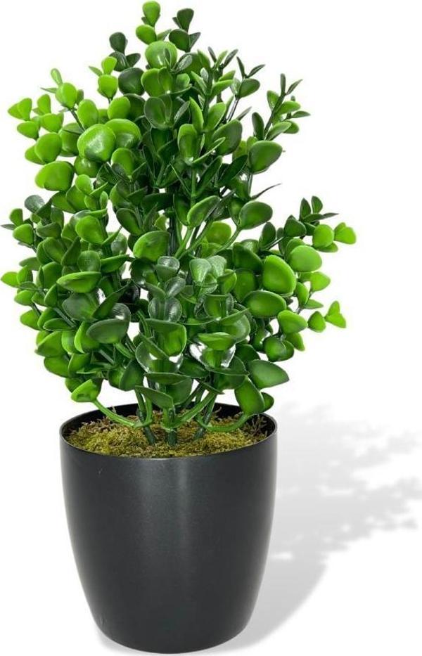 Netten Evime Yapay Çiçek Siyah Saksıda Jumbo Şimşir Dekoratif Süs Çiçeği - Image 1