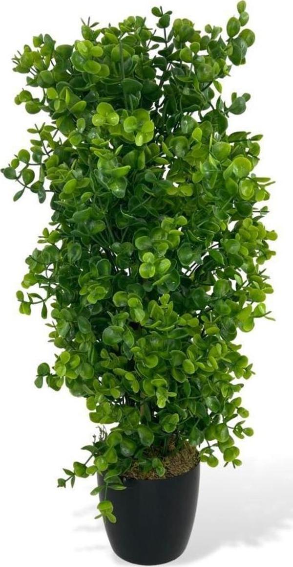 Netten Evime Yapay Çiçek Siyah Saksıda Yeşil Şimşir Ağacı 50cm - Image 1