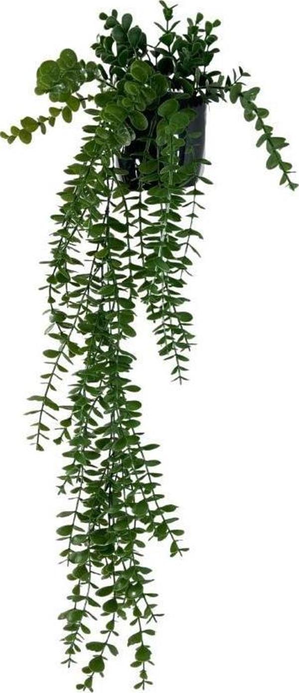 Netten Evime Yapay Çiçek Saksıda Sarkan Şimşir Okaliptus Yapay Sarmaşık Pastel  75cm - Image 1