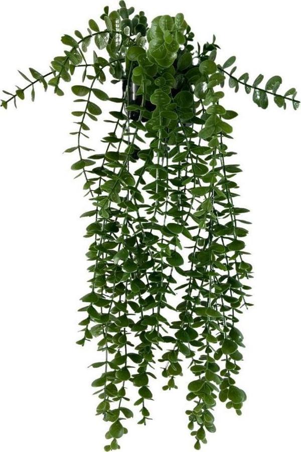 Netten Evime Yapay Çiçek Saksıda Sarkan Şimşir Okaliptus Yapay Sarmaşık Pastel 60cm - Image 1