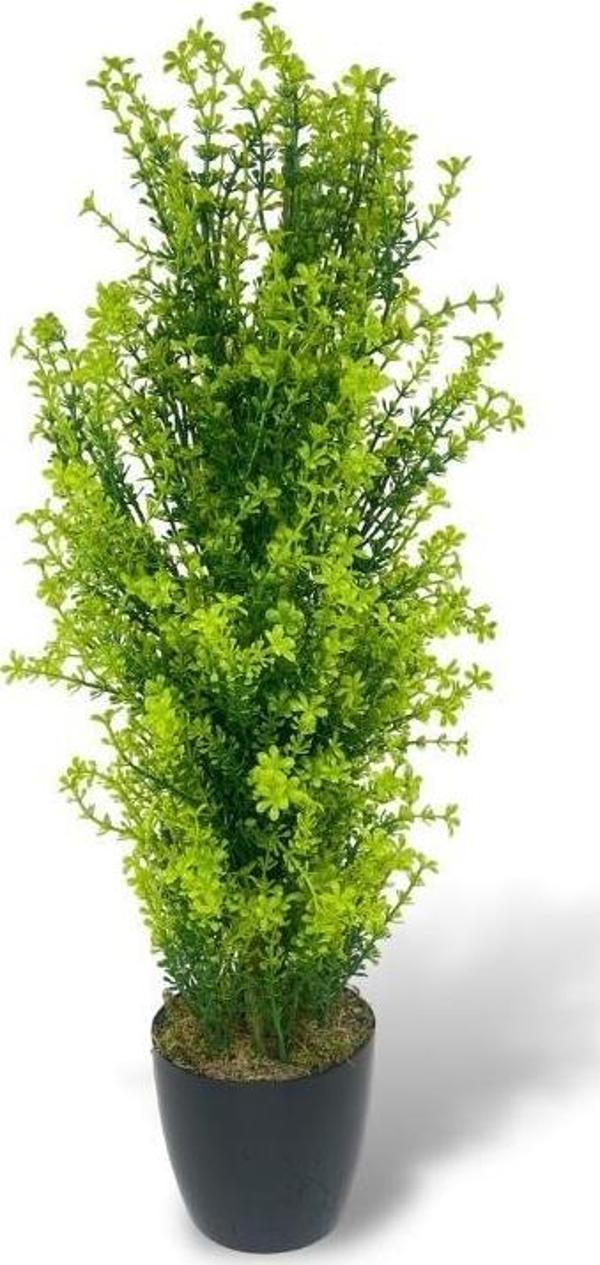 Netten Evime Yapay Çiçek Siyah Saksıda Yonca Ağacı 55cm - Image 1