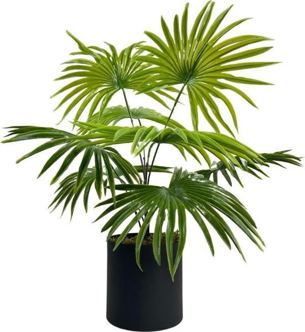 Netten Evime Yapay Çiçek Yelpaze Palmiye 8 Dal 50*40cm Salon Çiçeği Metal Mat Siyah Saksılı Yapay Bitki - Image 1