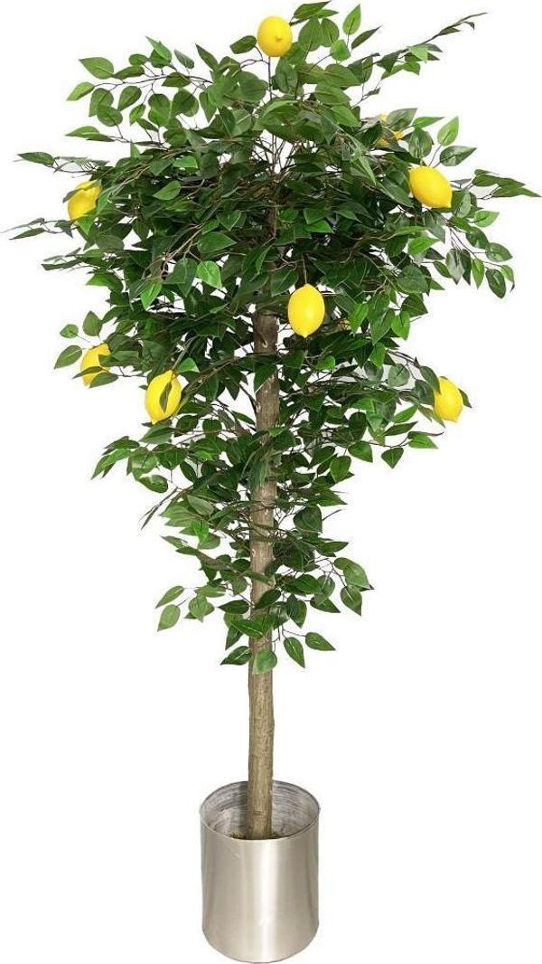 Netten Evime Yapay Limon Ağacı 180cm Doğal Görünümlü Yapay Ağaç - Image 1