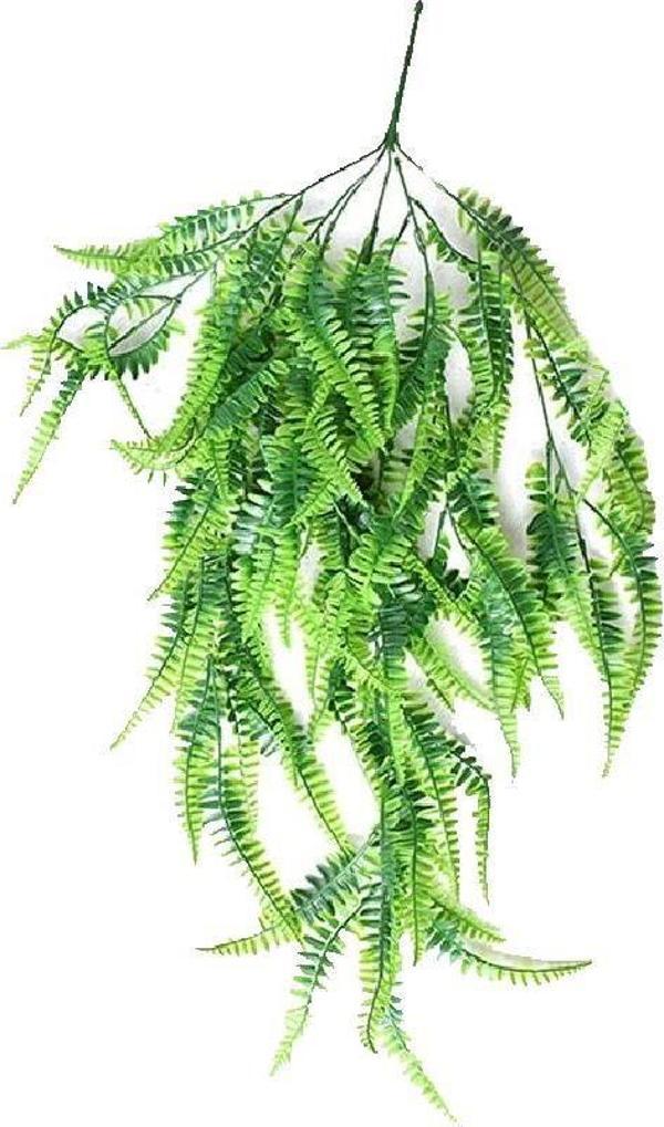 Netten Evime Yapay Çiçek Sarkan Boston Fern Yapay Sarmaşık ty70 Yeşil - Image 1