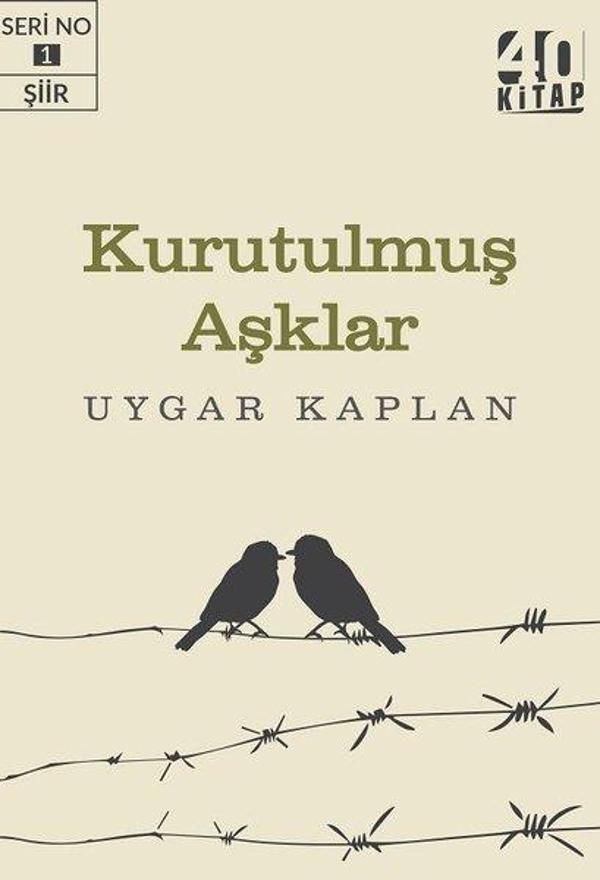 Kurutulmuş Aşklar - 40 Kitap - Image 1