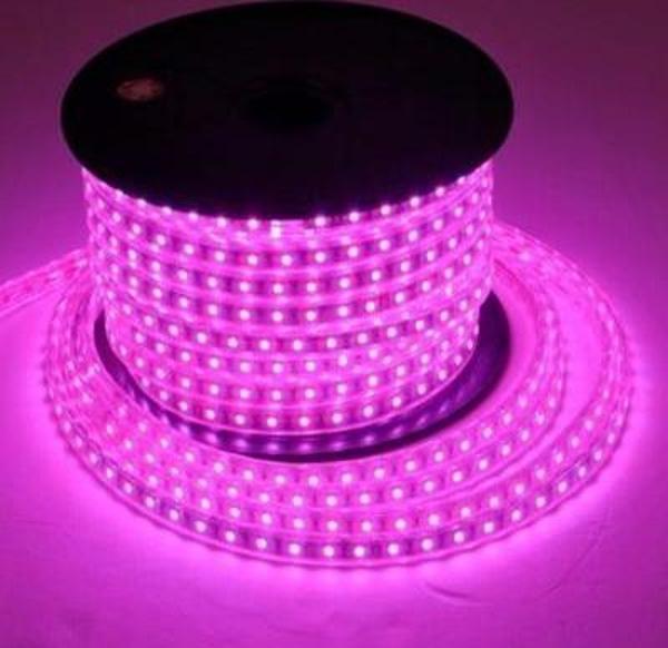 Neon Led Pempe Renk 5 Metre -12 Volt Uyumlu - Image 1