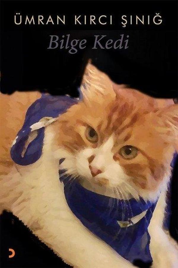 Cinius Yayınevi Bilge Kedi - Cinius Yayınevi - Image 1