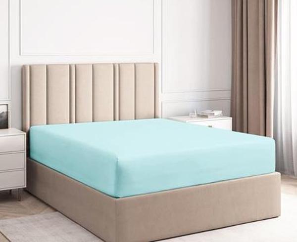 Hierapolis Home Pamuk Çift Kişilik Lastikli(Fitted) Penye Çarşaf - Mint - Image 1